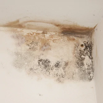 Photo d'un mur touché par un problème de condensation