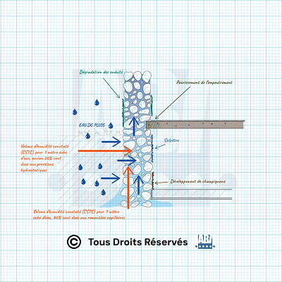Photo d'un mur touché par des remontées capillaires