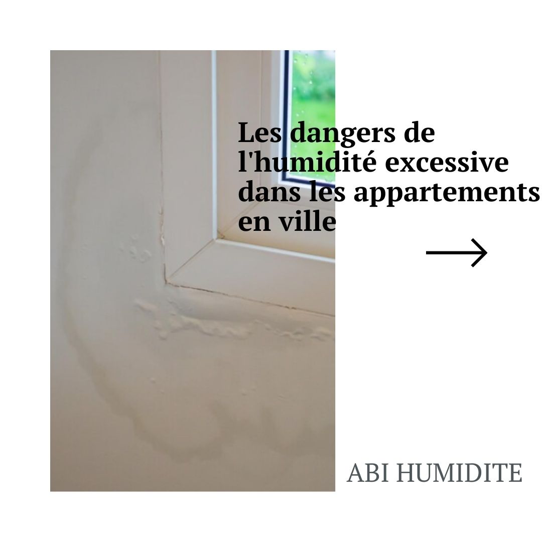 Les dangers de l'humidité excessive dans les appartements en ville